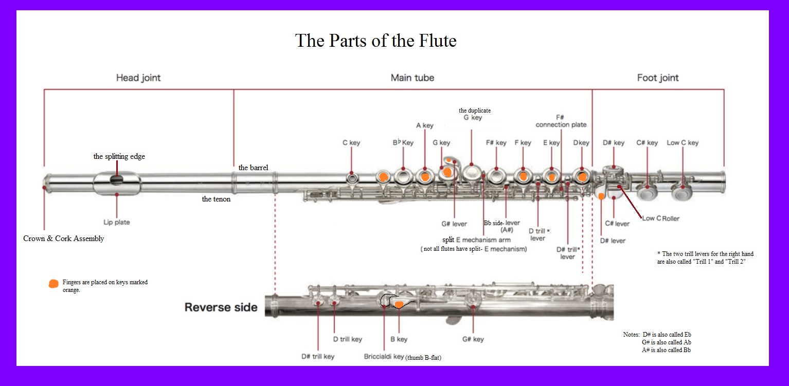 Music instruments